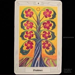 Meet your Posher, Anne